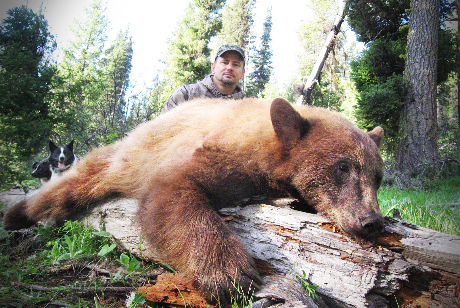 Sawtooth Wilderness Outfitters Idaho's Premier Big Game Guide Service